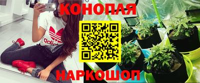 каннабис Кулебаки